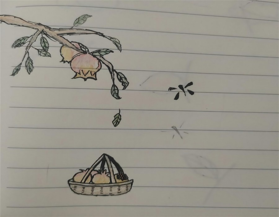 ̃ͯPLFY