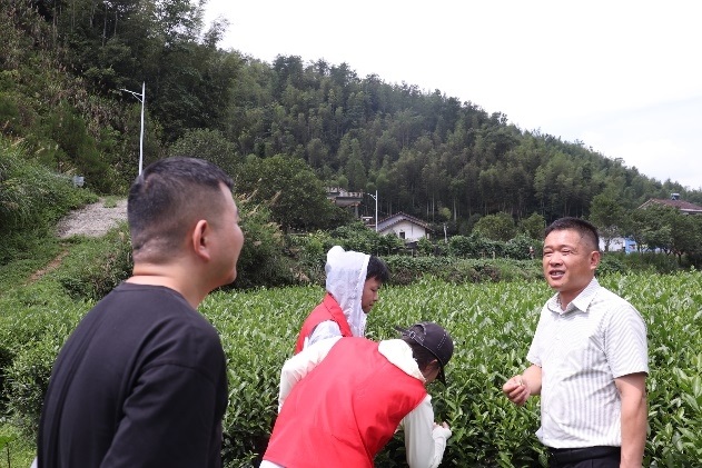圖為村長李德清帶領實踐團成員參觀茶園基地