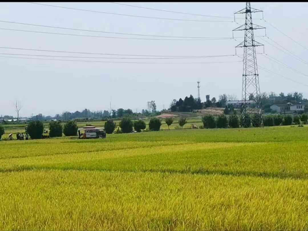 rںϣI l d