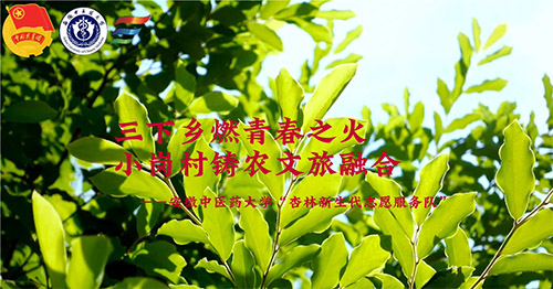 l(xing)ȼഺ֮СTrں