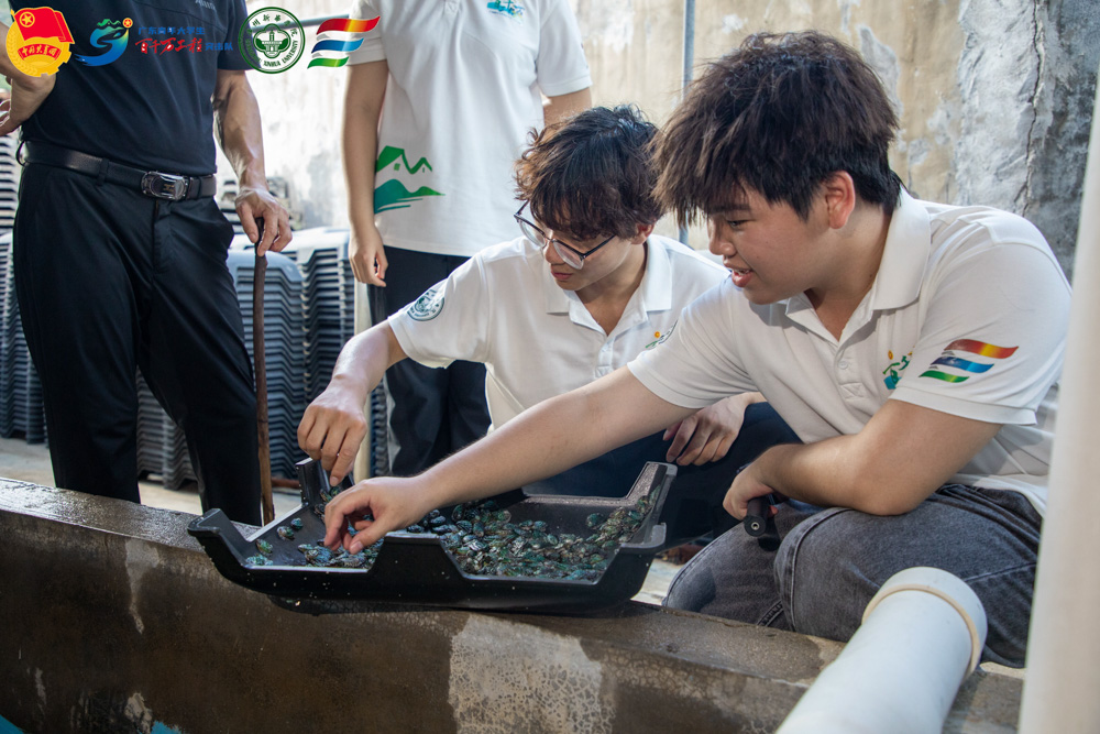 Ф곿