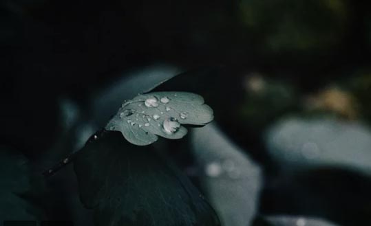 ַc