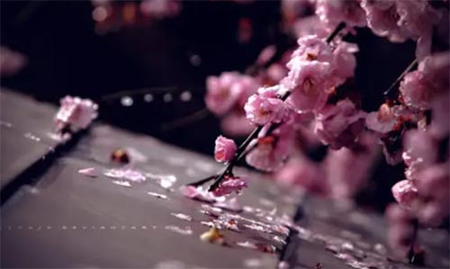 ˮ܇ϵĶU