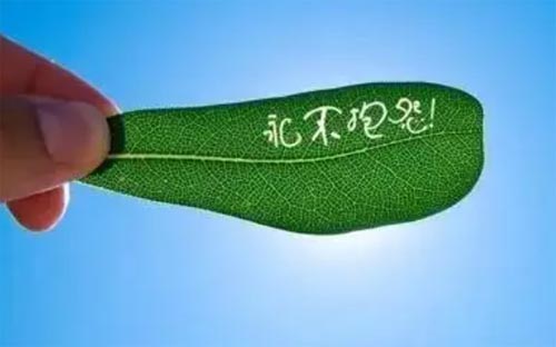 o횱Թ