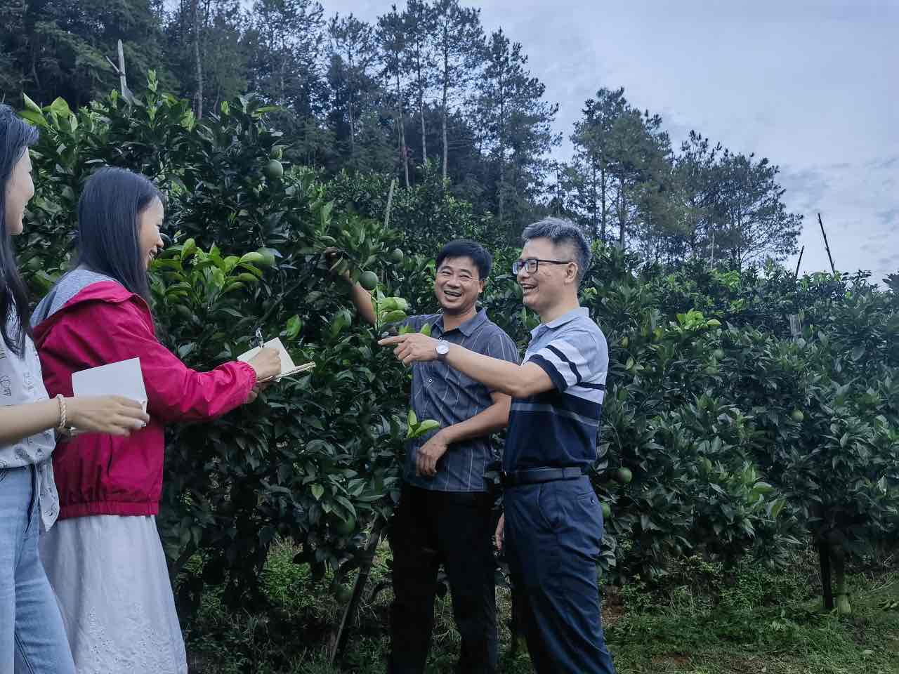 ؚdLϡDԊh(yun)顰ȡ