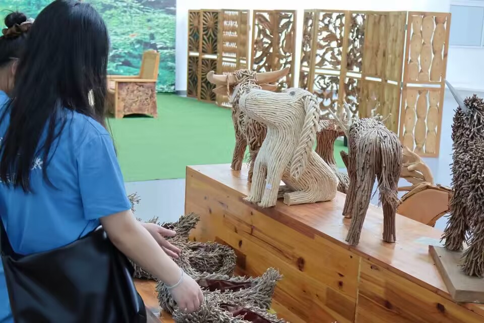 WlзzĻd